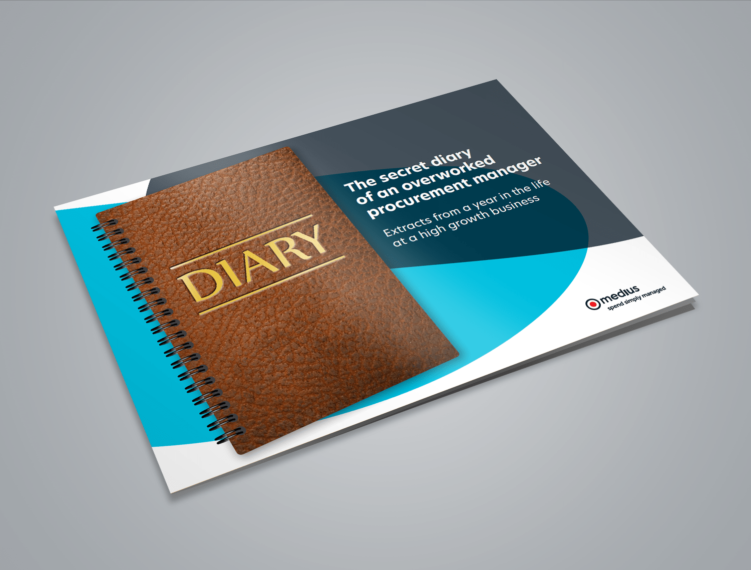 The secret diary of an overworked procurement manager Listing Image