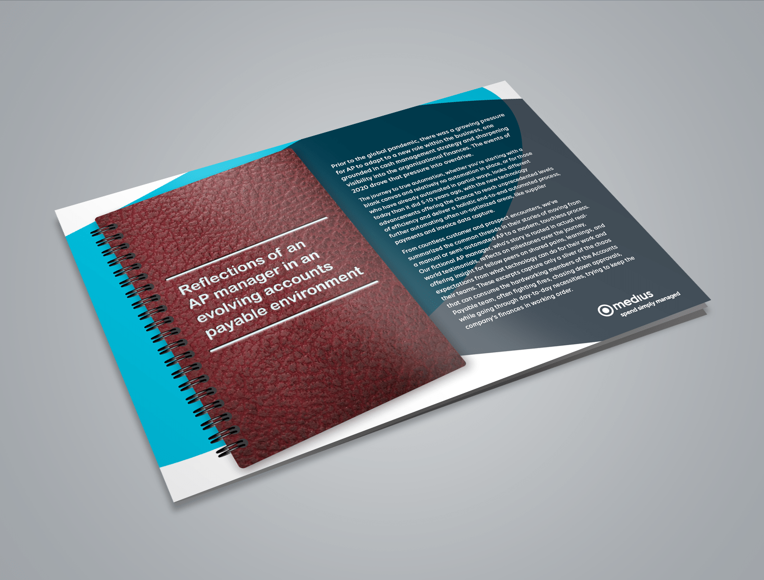 Reflections of an AP Manager in an evolving accounts payable environment Listing Image