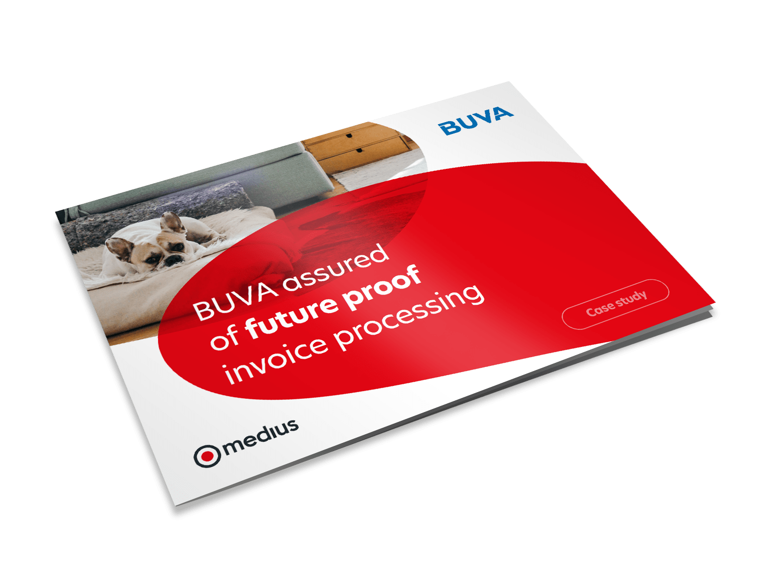 BUVA assured of future proof invoice processing Image