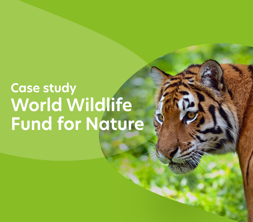 WWF on automating procurement processes and enhanced reporting Image