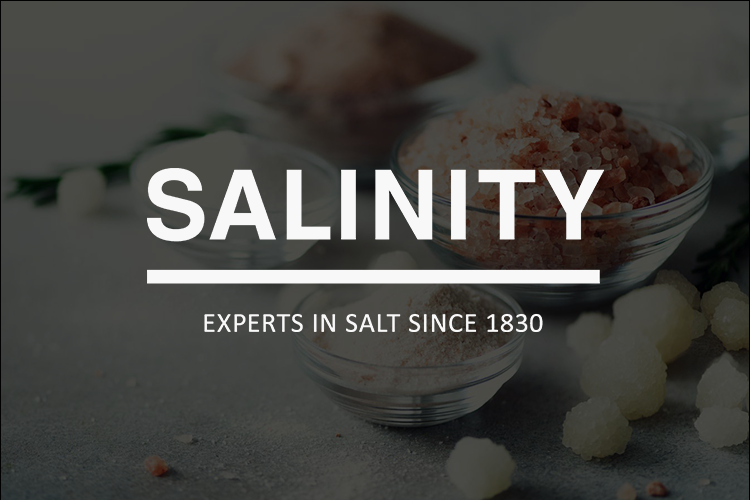 Salinity får full kontroll över sin fakturahantering med MediusGo Listing Image