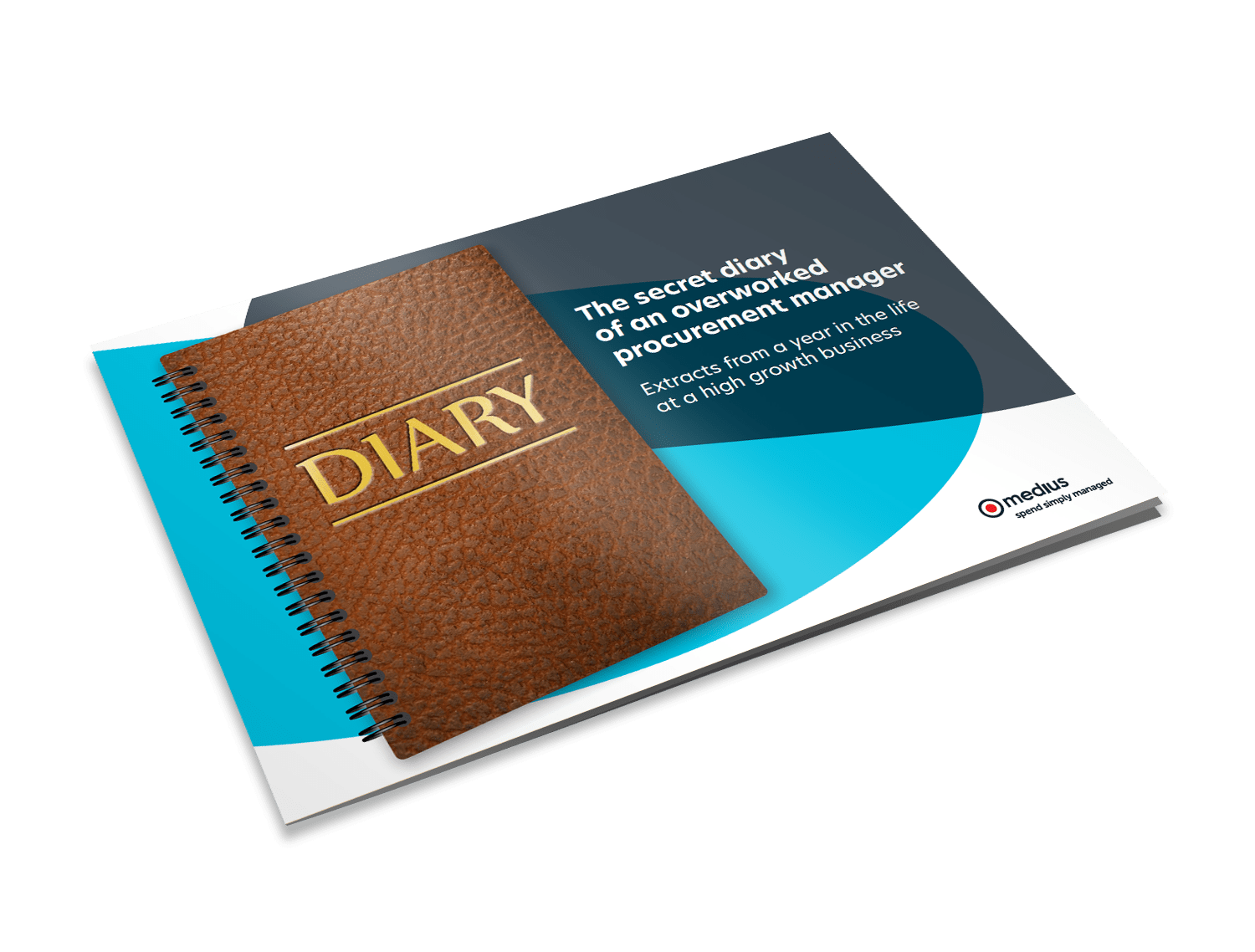 The secret diary of an overworked procurement manager Image
