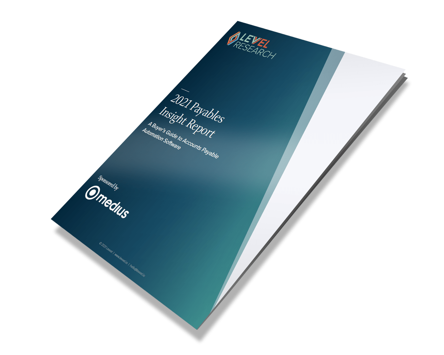 2021 Payables Insight Report Image