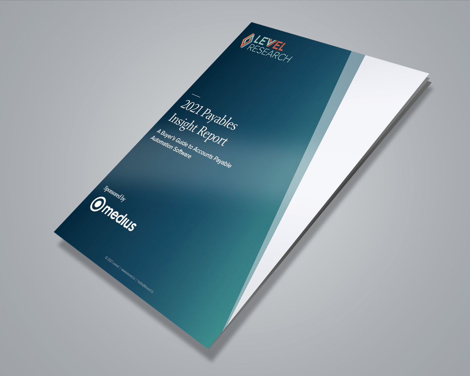 2021 Payables Insight Report Image