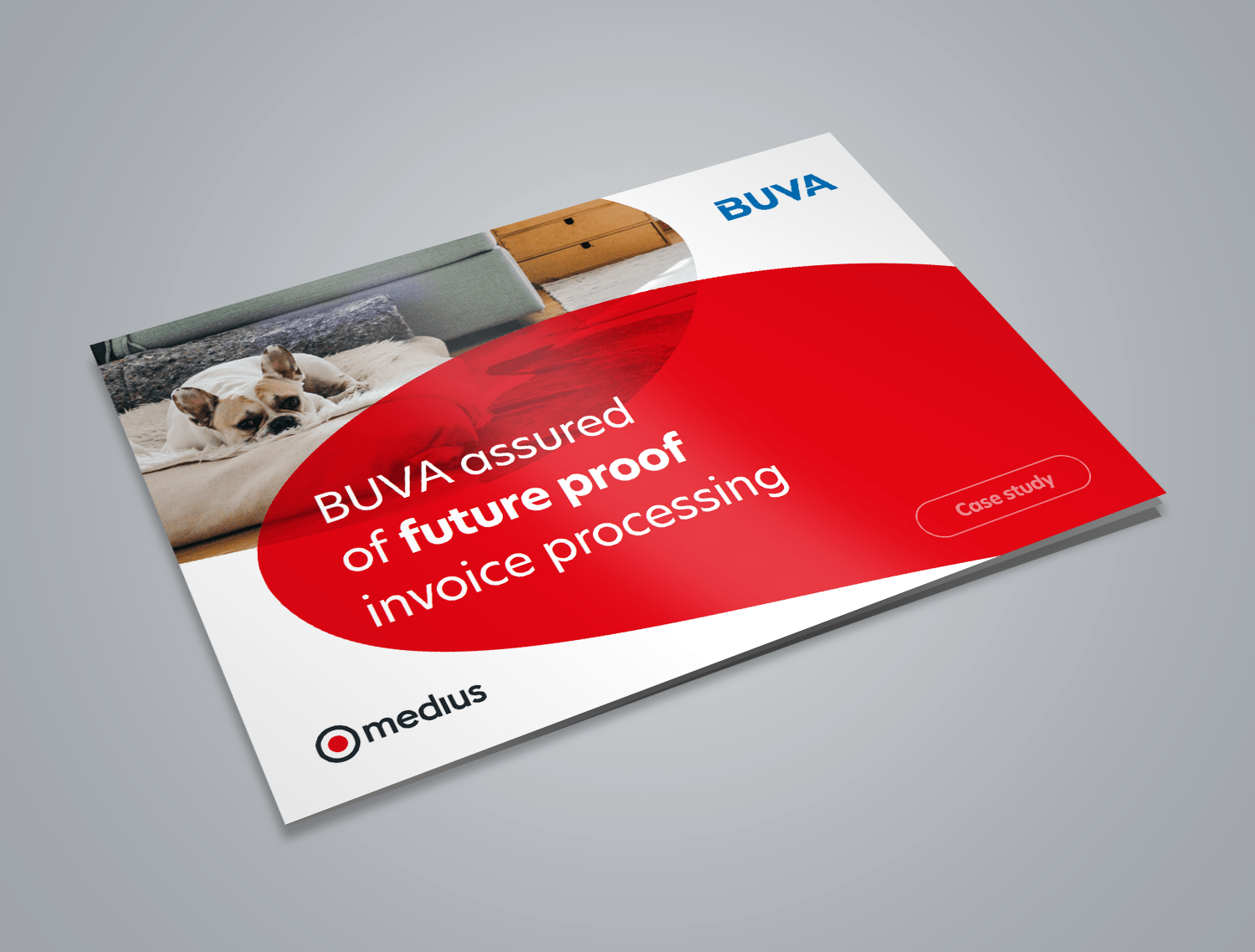 BUVA assured of future proof invoice processing Image